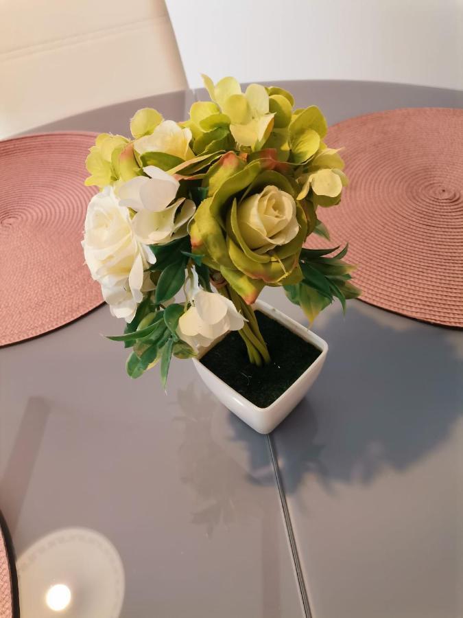 דוברובניק Dine Apartment מראה חיצוני תמונה